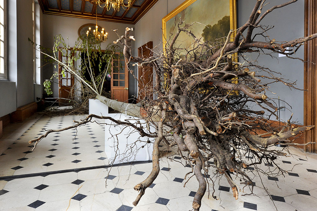 Brandon Ballengée © Laurence Godart 