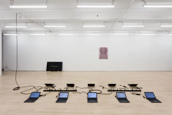 Damon Zucconi, « Presented as a problem »