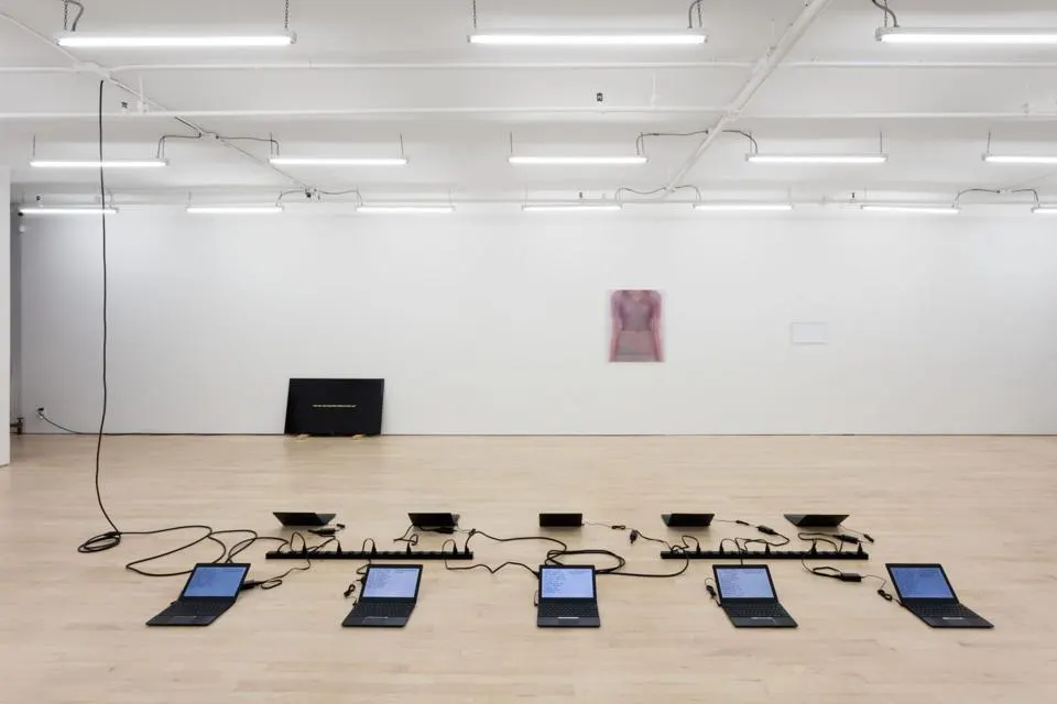 Damon Zucconi, « Presented as a problem »