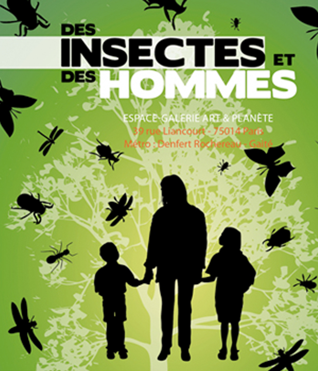 Des insectes et des hommes