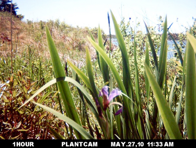 Performing Ecology, a Vision for the Gulf of Mexico.