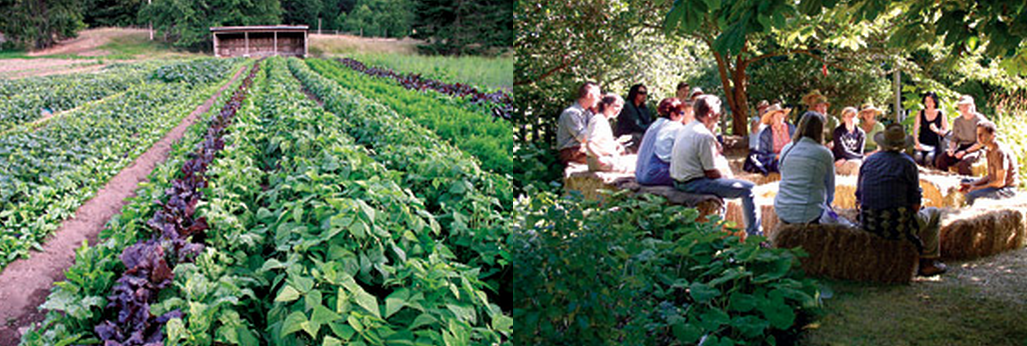 Foxglove Farm