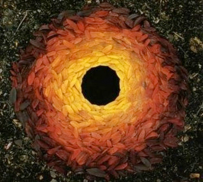 L’artiste Andy Goldsworthy