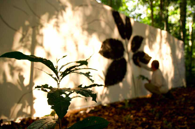 Charles Belle en train de peindre dans le Parc National de l’Ivindo au Gabon.