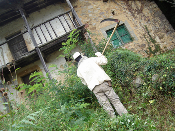 Symposium Navigating Ecological Times