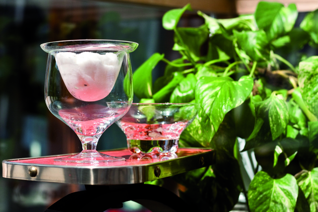 Luana Perilli, 108, 2013, Installation avec un nid de fourmis, coupelle en verre trempé, complément mobilier de Potus, 160x120x60 cm