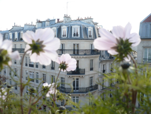 Conférence publique « Les villes nature : utopie ou réalité ? »