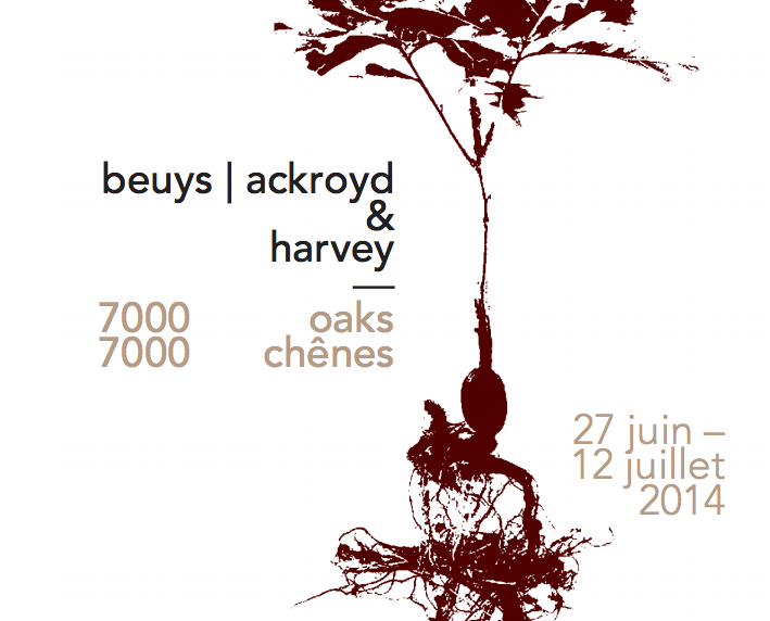 Exposition « 7000 OAKS-7000 CHENES / Beuys » – Heather Ackroyd & Dan Harvey