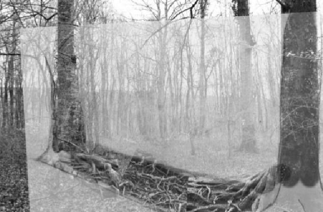 Douglas White, Projet VdF 2014.