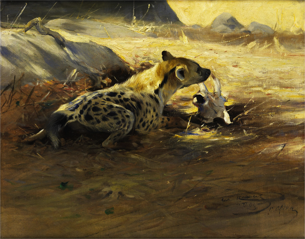 Friedrich Wilhelm Kuhnert: Hyène. 1905