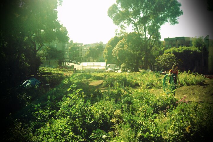 Hayes valley farm, 2011