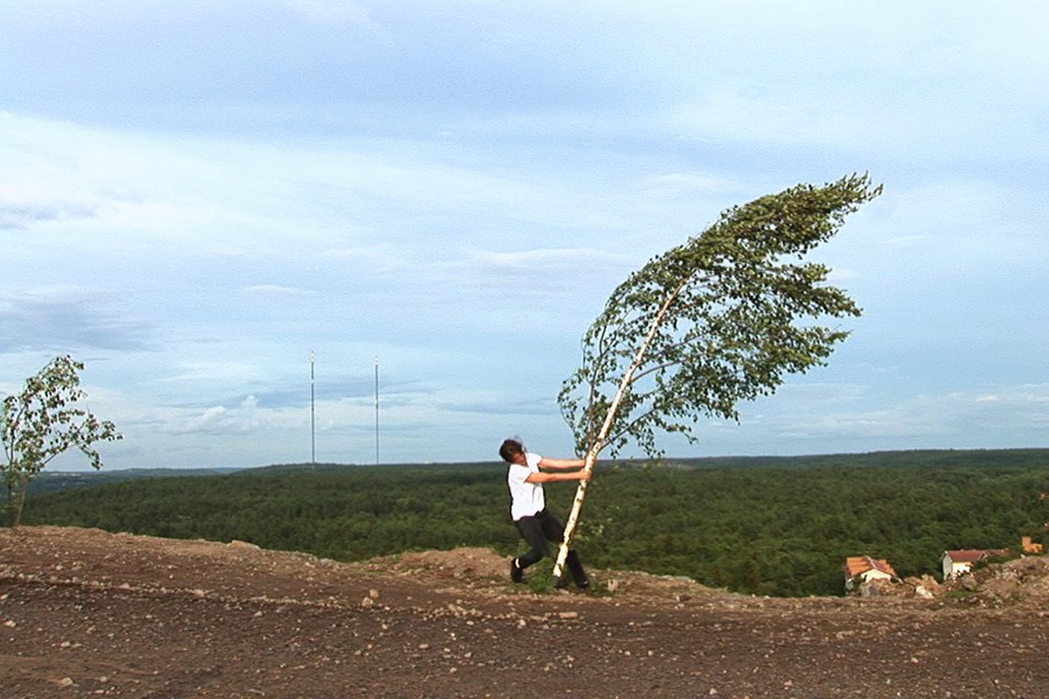 Exposition « D’après nature » à l’Institut Suédois