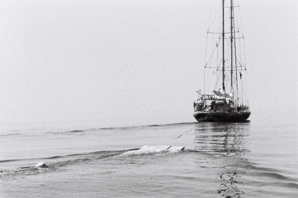 Appel à projets pour une résidence d&rsquo;artiste sur le Tara PACIFIC