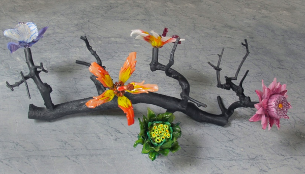 Exposition Force of Nature à la galerie Valérie Bach