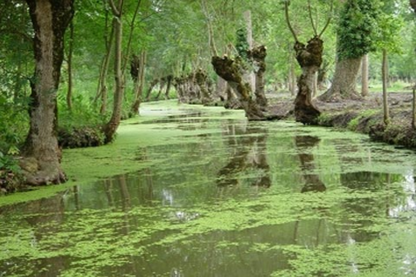 « La Mémoire des Etangs et des Marais »