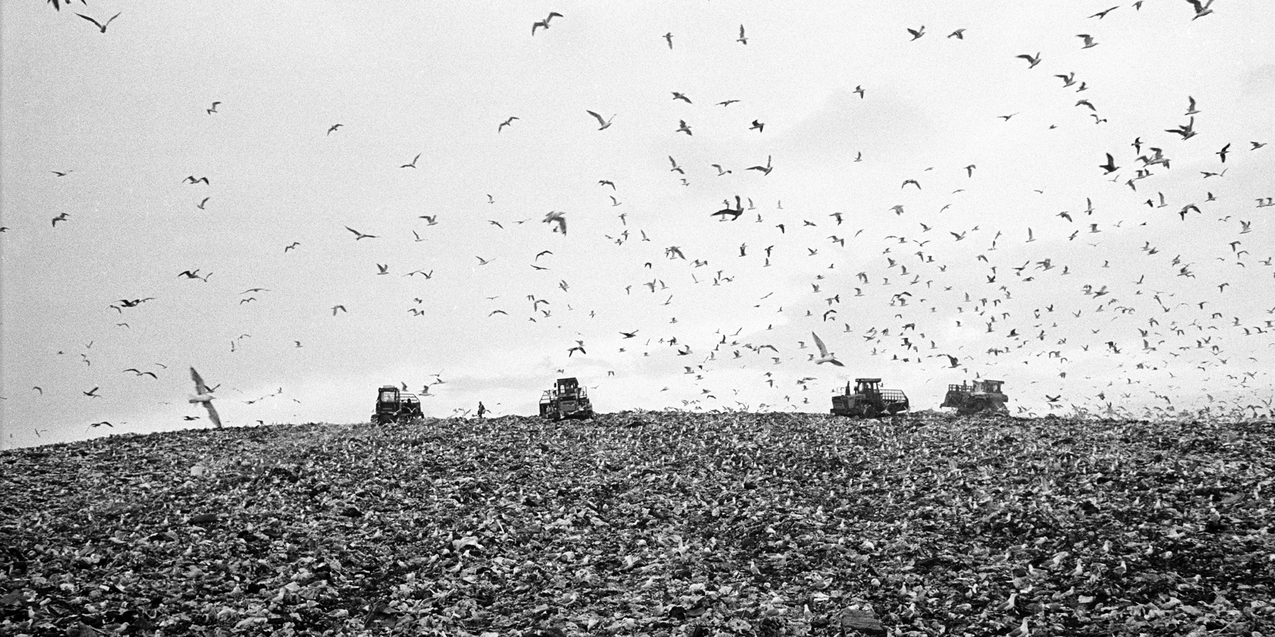 Exposition « Vies d’ordures : De l’économie des déchets »