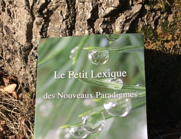 Le Petit Lexique des Nouveaux Paradigmes