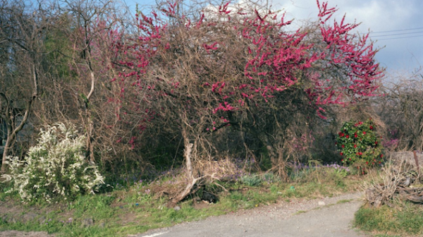 Appel à projets « De la transition écologique à la décroissance, du bon usage de l&rsquo;art »