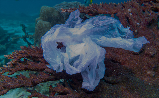 Appel à projets « The Universal Sea – Pure or Plastic ?! »