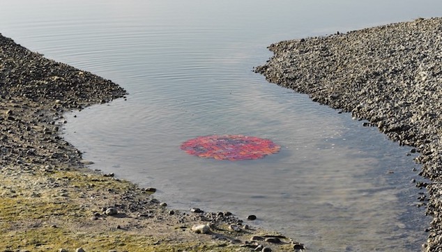 Plastic [in the] Landscape