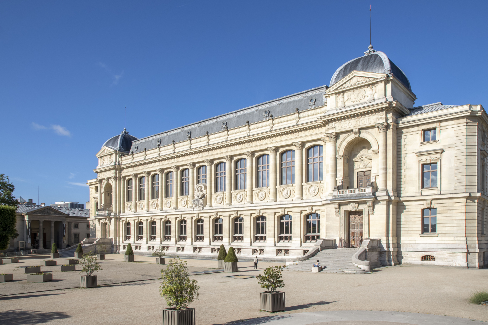 ICOM : Les musées, acteurs crédibles du développement durable ?