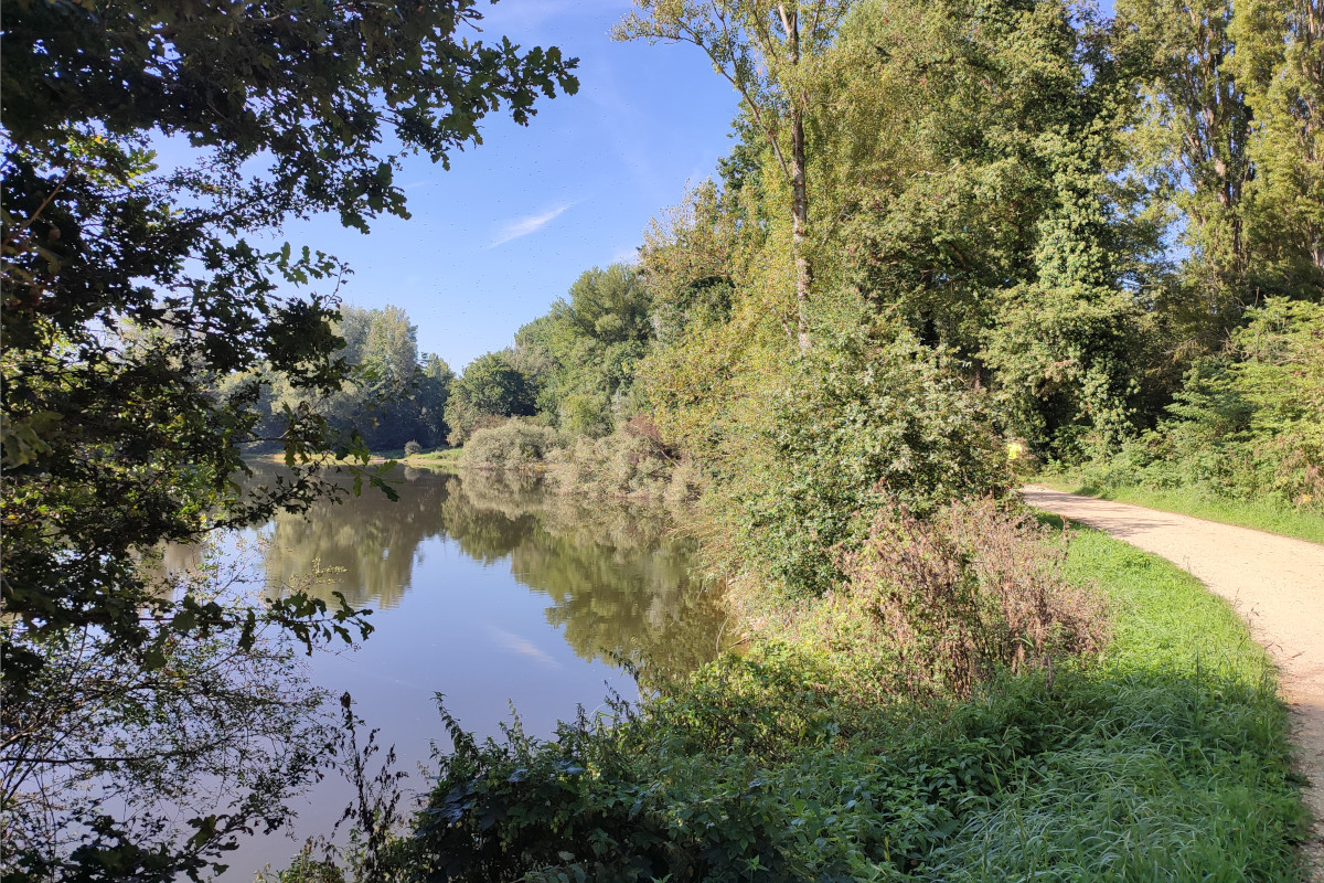 APPEL À PROJET – ART ET NATURE EN VALLÉE DE L’ORGE