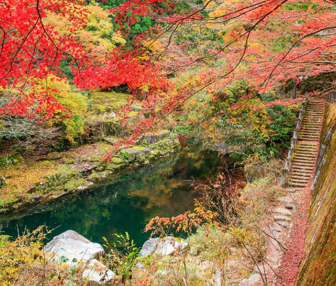 Forest Festival of the Arts Okayama: Clear-skies Country