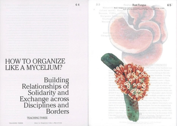 Let’s Become Fungal! Mycelium Teachings and the Arts de Yasmine Ostendorf-Rodríguez