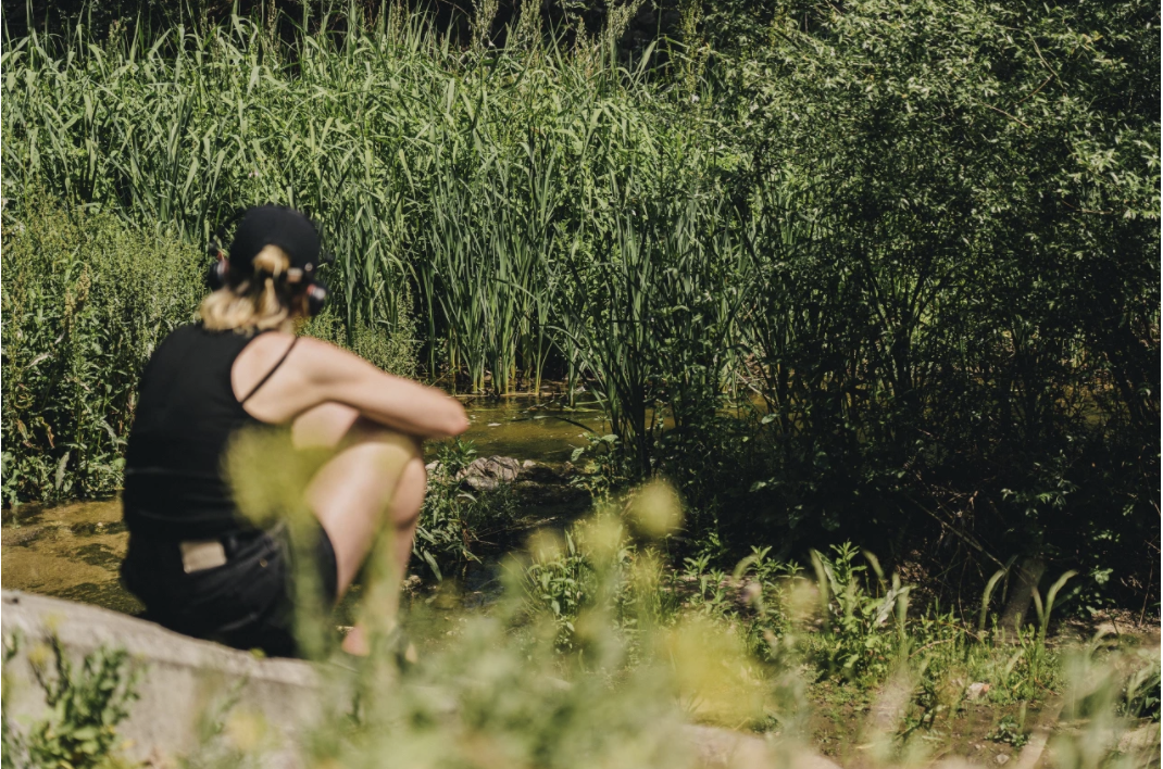 Appel à candidatures – postgrade ALT ECO – IPS